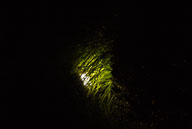 RAZ_0029.jpg