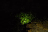 RAZ_0034.jpg