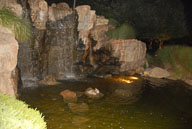 RAZ_0045.jpg