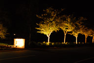 RAZ_0087.jpg