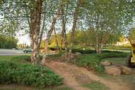 RAZ_0054.jpg