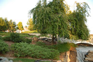 RAZ_0059.jpg
