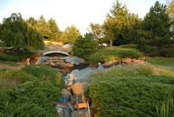 RAZ_0067.jpg