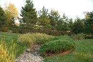 RAZ_0068.jpg