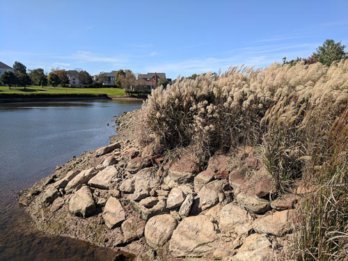 IMG_20181022_132839.jpg