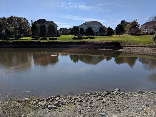 IMG_20181022_133439.jpg