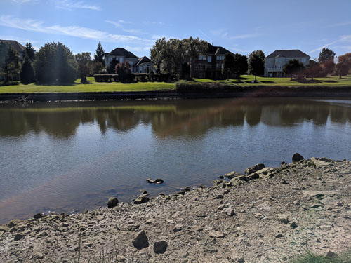 IMG_20181022_134139.jpg