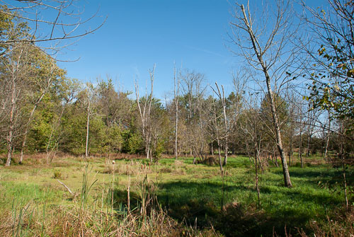 RAZ_3104.jpg