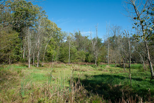 RAZ_3111.jpg