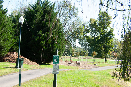 RAZ_3140.jpg