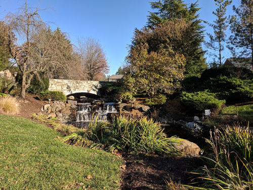 IMG_20181111_145149.jpg