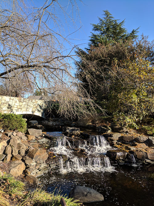 IMG_20181111_145219.jpg