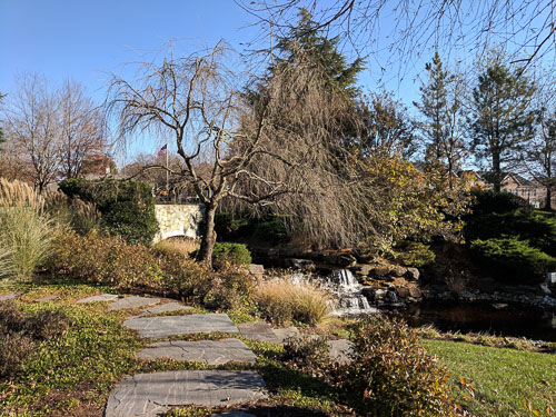 IMG_20181111_145241.jpg