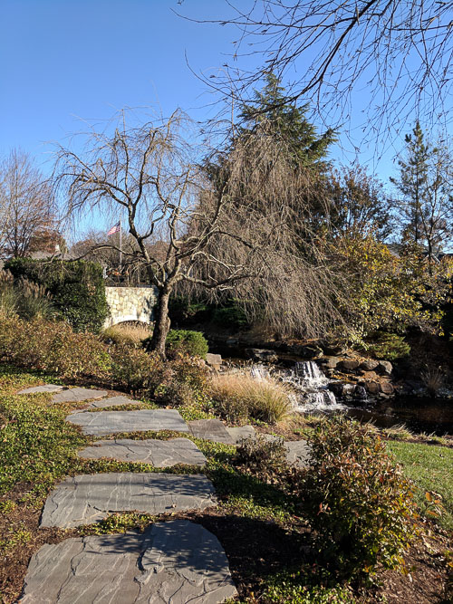 IMG_20181111_145246.jpg
