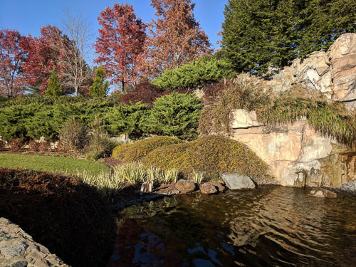 IMG_20181111_145711.jpg