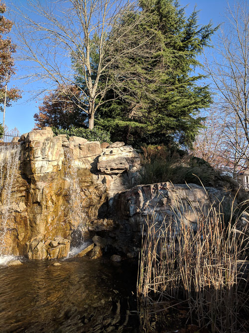 IMG_20181111_145716.jpg