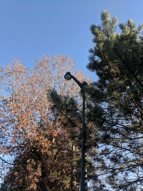 IMG_20181111_152324.jpg