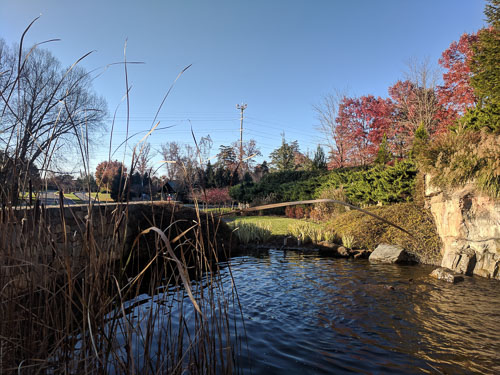 IMG_20181111_153135.jpg