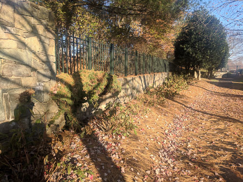IMG_20181111_153235.jpg