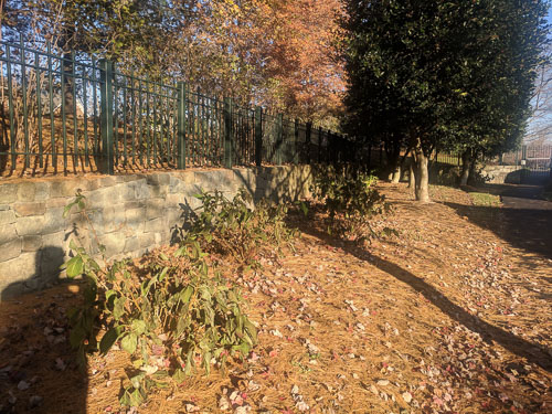 IMG_20181111_153254.jpg