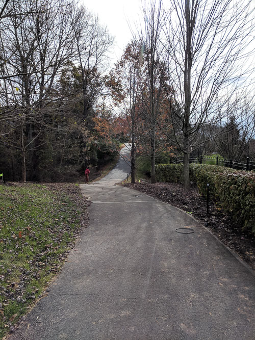 IMG_20181114_120232.jpg