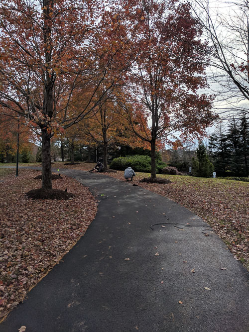 IMG_20181114_120347.jpg
