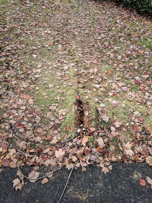 IMG_20181114_120456.jpg