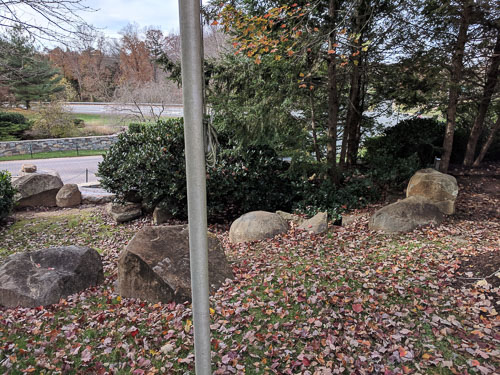 IMG_20181114_120516.jpg