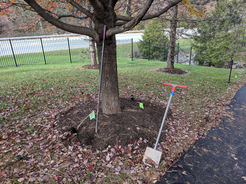 2018-11 Pathway Lighting