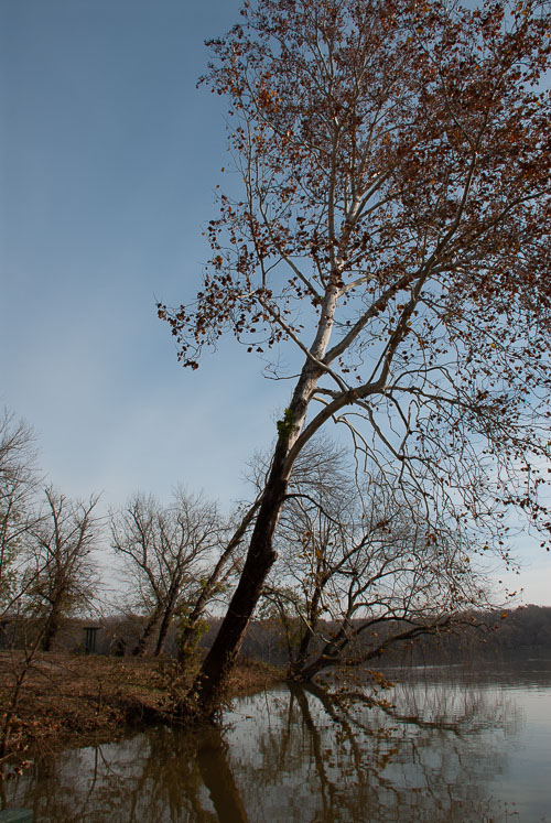 RAZ_3816.jpg