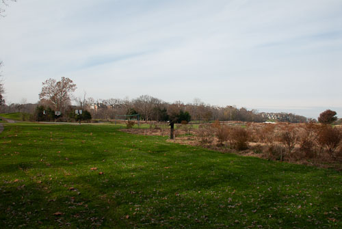 2018-11-19 Confluence Park and Tree Cutting