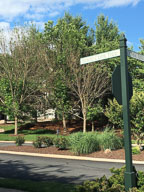 2018 08 Before Monument Landscaping Phase 1 and 2