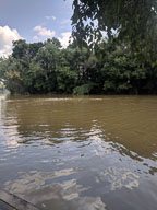 IMG_20180805_154702.jpg