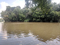 IMG_20180805_154707.jpg