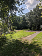 IMG_20180805_155344.jpg