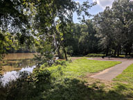 IMG_20180805_155352.jpg