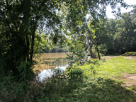 IMG_20180805_155427.jpg