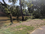 IMG_20180805_155641.jpg