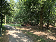 IMG_20180805_160217.jpg