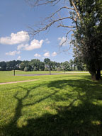 IMG_20180805_160250.jpg
