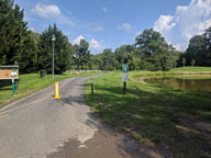 IMG_20180805_160707.jpg
