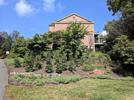 IMG_20180902_123625.jpg