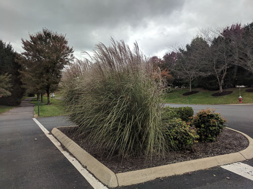IMG_20181029_113838.jpg