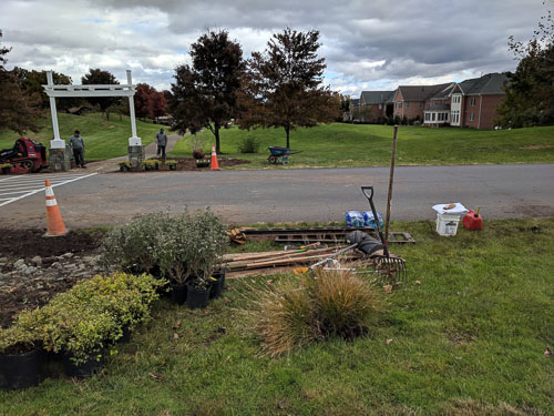 IMG_20181029_115048.jpg