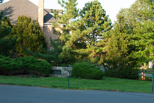 RAZ_2703.jpg