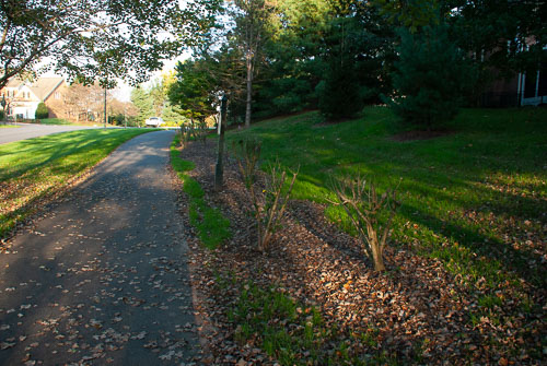 RAZ_2723.jpg
