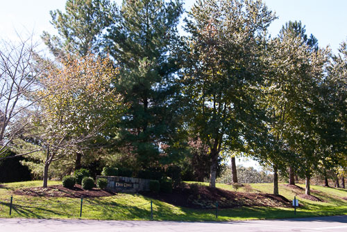 RAZ_2909.jpg