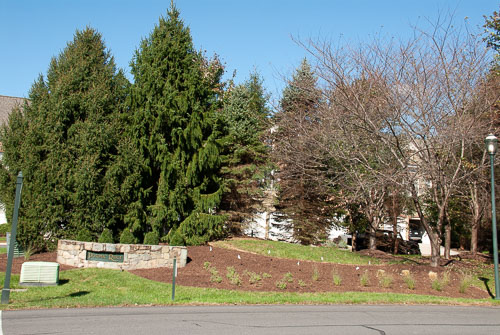 RAZ_2959.jpg