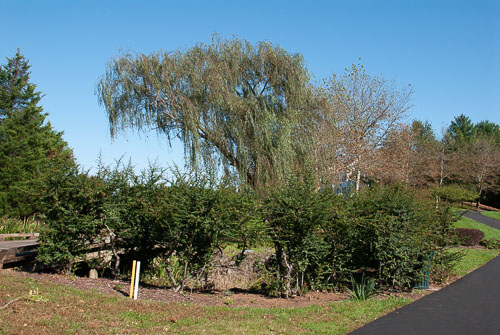 RAZ_3019.jpg