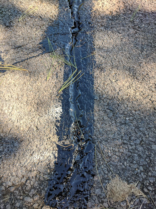 IMG_20181018_131830.jpg